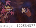 奈良県明日香村飛鳥川、川面の紅葉 122534377