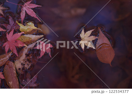 奈良県明日香村飛鳥川、川面の紅葉 122534377