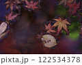 奈良県明日香村飛鳥川、川面の紅葉 122534378