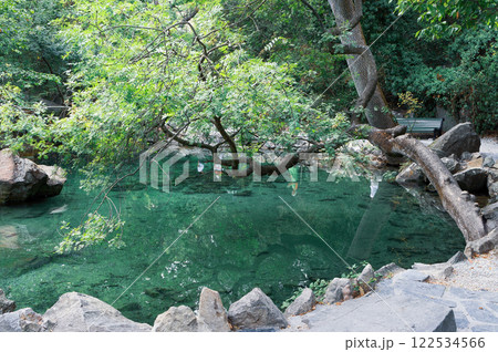 Tranquil Oasis: The Small Pond in the City Park 122534566