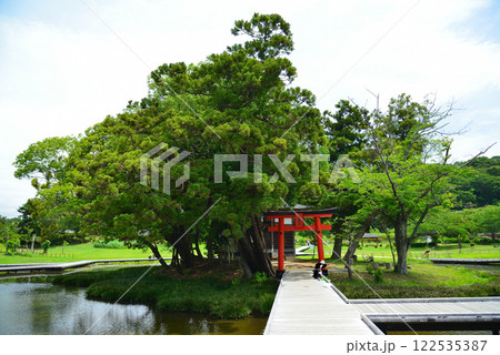 清水の湧く厳島湿生公園 122535387