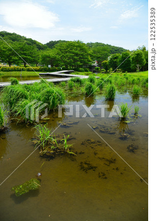 清水の湧く厳島湿生公園 清水の湧く厳島湿生公園 122535389