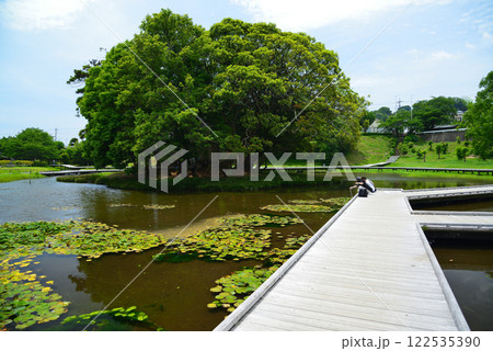 清水の湧く厳島湿生公園 清水の湧く厳島湿生公園 122535390