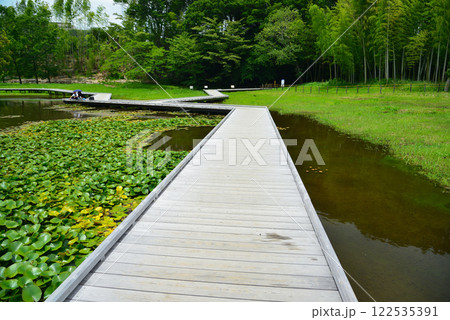 清水の湧く厳島湿生公園 122535391