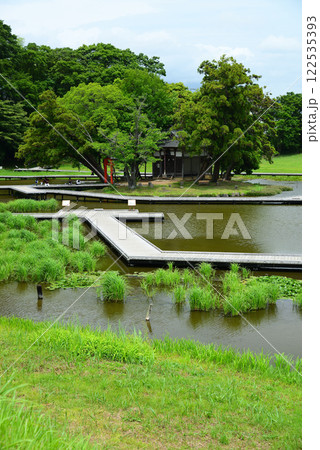 清水の湧く厳島湿生公園 122535393