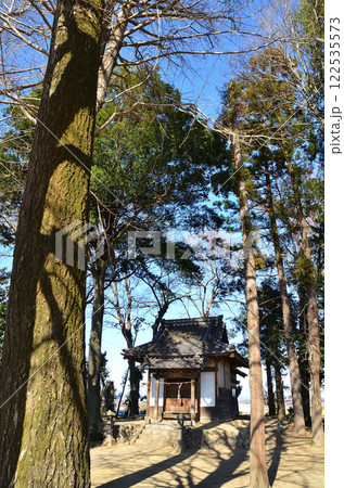 埼玉県熊谷市弁財の弁財厳島神社 へび年に参拝 埼玉県熊谷市弁財の弁財厳島神社 へび年に参拝 122535573
