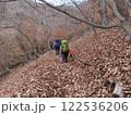 落ち葉で登山道が埋まった山梨県の茅ヶ岳を登る登山者 122536206