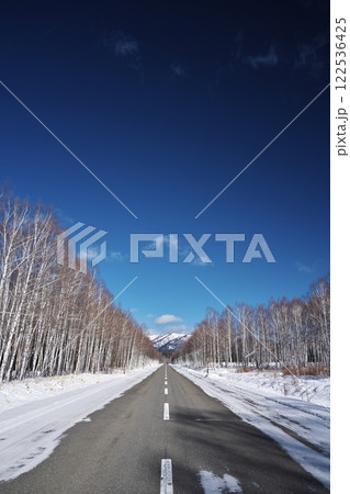 冬の北海道国道273号線 白樺の原生林を貫く一本道 冬の北海道国道273号線 白樺の原生林を貫く一本道 122536425