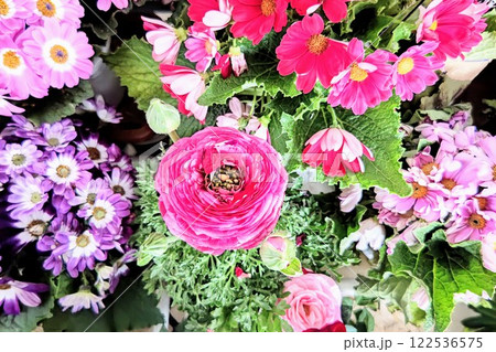 色取り取りの鮮やかなお花たち 122536575