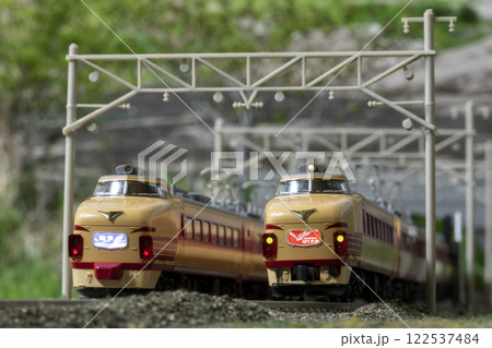 鉄道模型 Nゲージ 489系急行能登 特急はくかた 02 122537484