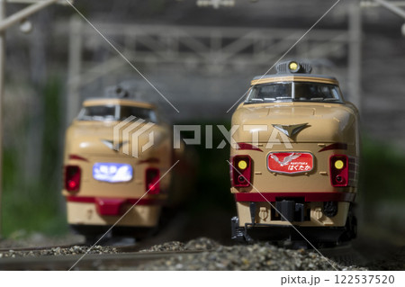 鉄道模型 Nゲージ 489系急行能登 特急はくかた 10 122537520