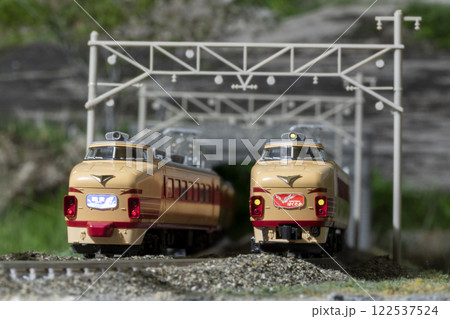 鉄道模型 Nゲージ 489系急行能登 特急はくかた 06 122537524