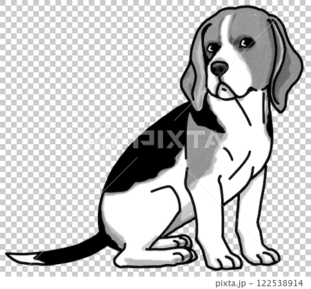 比格犬，黑白，透明背景，狗插圖 122538914