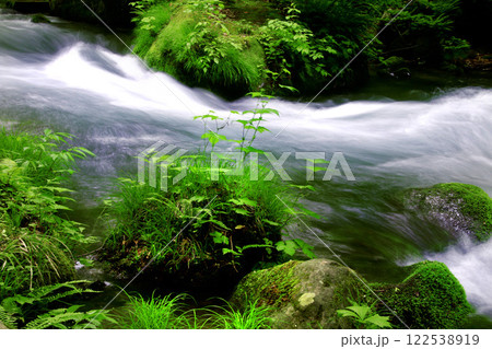 初夏の奥入瀬渓流（青森県・十和田市） 122538919