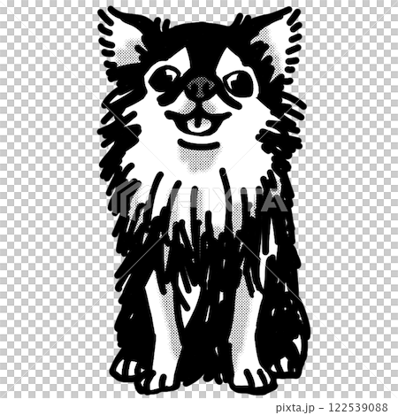 Chihuahua, black and white, transparent background, dog illustration Chihuahua, black and white, transparent background, dog illustration 122539088
