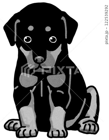 ドーベルマン　子犬　白黒　背景透過　犬のイラスト 122539292
