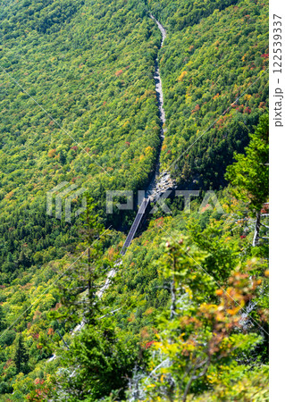 Scenic View of Mount Willard Railway Cutting Through Lush Forest, New Hampshire. 122539337