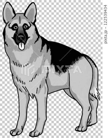 德國牧羊犬,黑白,透明背景,狗狗插圖 德國牧羊犬,黑白,透明背景,狗狗插圖 122539434