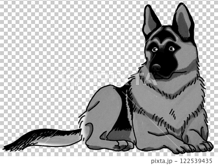 German Shepherd, black and white, transparent background, dog illustration 122539435