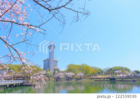 愛知県尾張旭市、スカイワードあさひと桜の風景 122539530