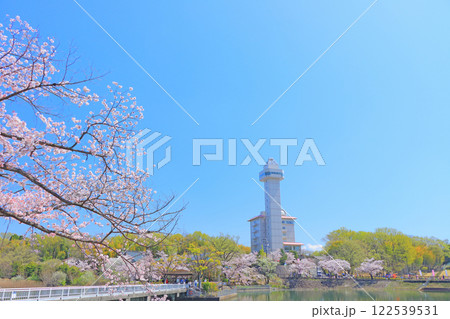 愛知県尾張旭市、スカイワードあさひと桜の風景 122539531