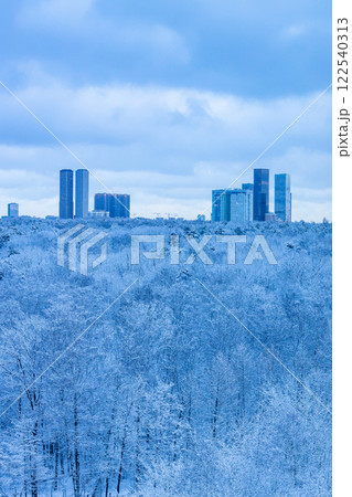snowy city park and skyscraper in blue winter dusk snowy city park and skyscraper in blue winter dusk 122540313