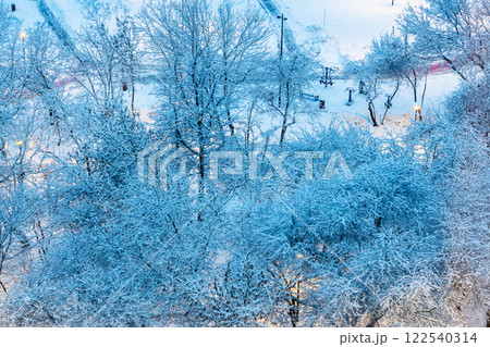 snow-covered tree in city park in blue winter dusk snow-covered tree in city park in blue winter dusk 122540314