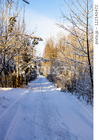 snowy road between frozen trees in country village 122540472