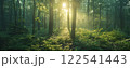 Sunlit forest path rays of light nature scene peaceful scenic environmental background. 122541443