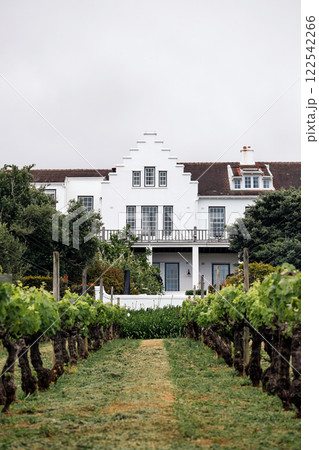 Small local winery in South Africa. White manor house, European architecture Small local winery in South Africa. White manor house, European architecture 122542266