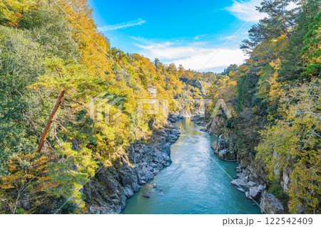 飯田市の名勝天龍峡の紅葉する木々と天竜川の風景(長野県) 122542409