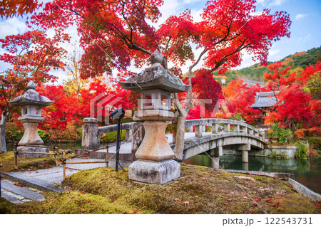 Colorful autumn leaves at bridge to shrine of Eikando temple, Kyoto Colorful autumn leaves at bridge to shrine of Eikando temple, Kyoto 122543731