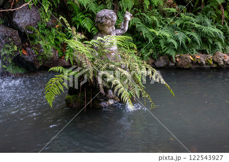 Angel in a fountain with fern, Madeira, Portugal 122543927