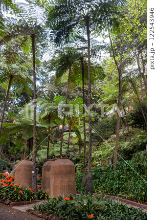 Greenery in a Botanical garden, Monte, Funchal, Madeira 122543946
