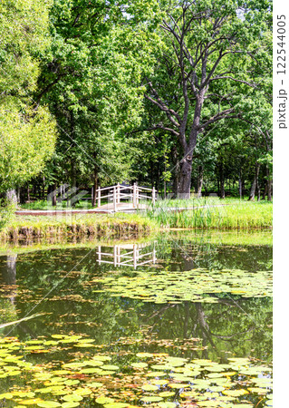Small wooden bridge with railings at the park in summer 122544005