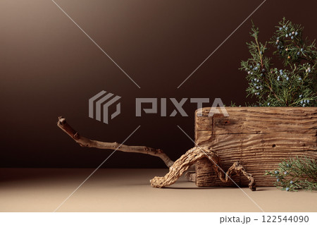 Abstract composition of old wooden plank and juniper branch. Abstract composition of old wooden plank and juniper branch. 122544090