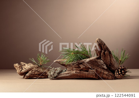 Abstract north nature scene with a composition of lichen, pine branches, and dry snags. Abstract north nature scene with a composition of lichen, pine branches, and dry snags. 122544091