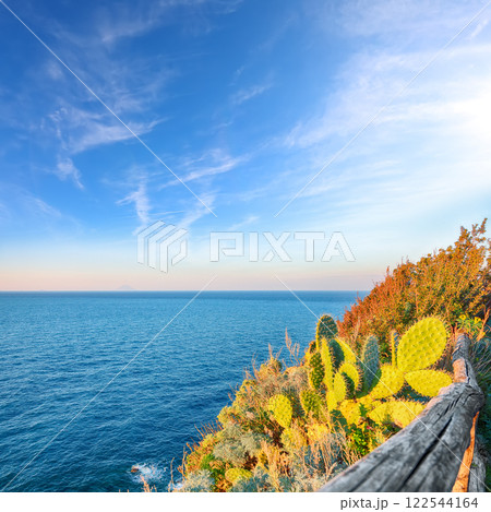 Awesome spring view on the the cape Milazzo panorama of nature reserve. 122544164