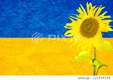 Ukraine flag and sunflower Ukraine flag and sunflower 122544339