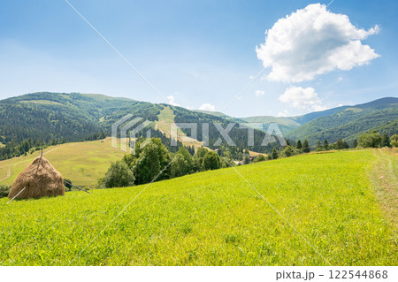 grassy field on the hill. rural scenery. mountainous countryside landscape on a sunny day in summer. podobovets valley in transcarpathia, ukraine. village in the valley. haystack on the slope grassy field on the hill. rural scenery. mountainous countryside landscape on a sunny day in summer. podobovets valley in transcarpathia, ukraine. village in the valley. haystack on the slope 122544868
