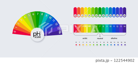 pH scale chart for acid and alkaline solutions. Acid-base balance infographic. Vector 122544902