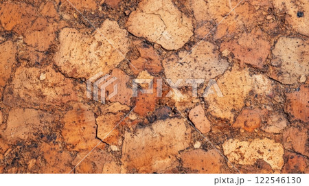 Cork Texture Brown Abstract Background 122546130