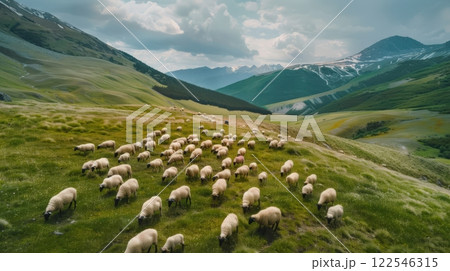 Sheep Farming In The Highlands 122546315