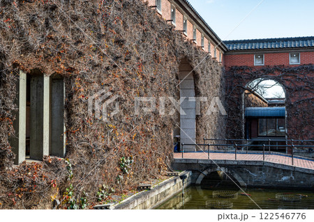 日本の岡山県倉敷市の美観地区の美しい風景 122546776