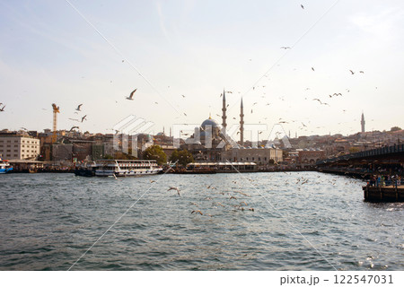Istanbul skyline near Galata bridge from a ship. Flying seagulls at dusk Istanbul skyline near Galata bridge from a ship. Flying seagulls at dusk 122547031