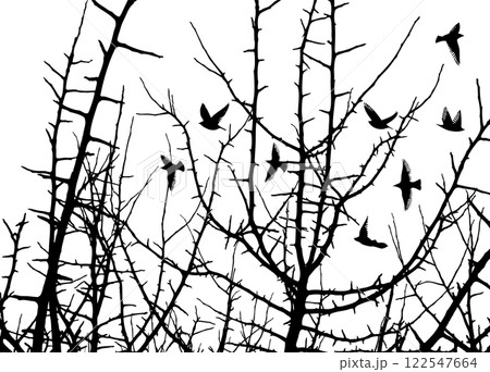 trees with flying birds. hand drawing. Not AI Vector illustration trees with flying birds. hand drawing. Not AI Vector illustration 122547664
