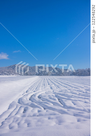 ふんわりとした雪原と青空【長野県】 122548292
