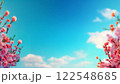 青空に映える桃の花。春の訪れを感じて 122548685