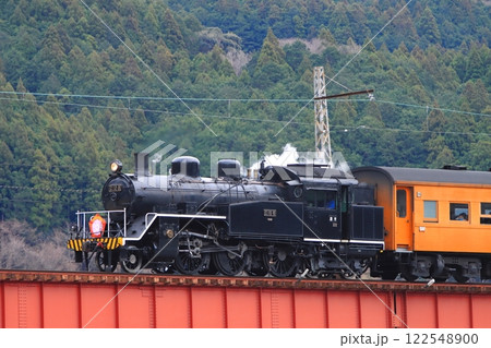 大井川第一橋梁を渡る大井川鉄道C10-8号機(旧ラサ工業仕様特別装飾)_2025/1/12撮影 122548900