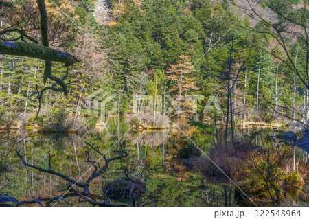静寂に包まれた晩秋の明神池の情景 静寂に包まれた晩秋の明神池の情景 122548964